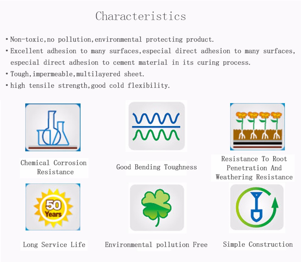 Polythene Polymer Compound Waterproof Membrane22.jpg